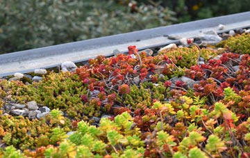 the cost of Eastham Ferry green roof installation