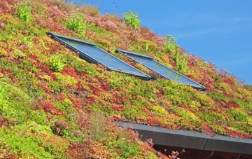 Eastham Ferry living roof systems