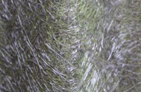 Eastham Ferry fibreglass roof work